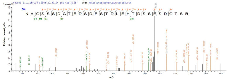 Based on the SEQUEST from database of E.coli host and target protein, the LC-MS/MS Analysis result of this product could indicate that this peptide derived from E.coli-expressed Homo sapiens (Human) KAT7.Recombinant Human Histone Acetyltransferase Myst2 (KAT7) Protein (GST)
