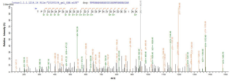 Based on the SEQUEST from database of E.coli host and target protein, the LC-MS/MS Analysis result of this product could indicate that this peptide derived from E.coli-expressed Homo sapiens (Human) KAT7.Recombinant Human Histone Acetyltransferase Myst2 (KAT7) Protein (GST)