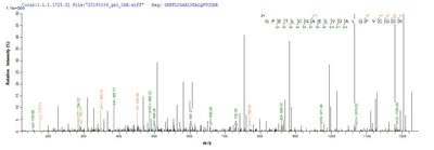 Based on the SEQUEST from database of E.coli host and target protein, the LC-MS/MS Analysis result of this product could indicate that this peptide derived from E.coli-expressed Homo sapiens (Human) IGF1.Recombinant Human Insulin-Like Growth Factor I (IGF1) Protein (GST)