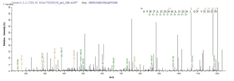 Based on the SEQUEST from database of E.coli host and target protein, the LC-MS/MS Analysis result of this product could indicate that this peptide derived from E.coli-expressed Homo sapiens (Human) IGF1.Recombinant Human Insulin-Like Growth Factor I (IGF1) Protein (GST)