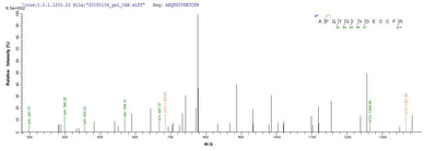 Based on the SEQUEST from database of E.coli host and target protein, the LC-MS/MS Analysis result of this product could indicate that this peptide derived from E.coli-expressed Homo sapiens (Human) IGF1.Recombinant Human Insulin-Like Growth Factor I (IGF1) Protein (GST)