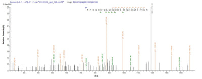 Based on the SEQUEST from database of E.coli host and target protein, the LC-MS/MS Analysis result of this product could indicate that this peptide derived from E.coli-expressed Homo sapiens (Human) MMP1.Recombinant Human Interstitial Collagenase (MMP1) Protein (His)