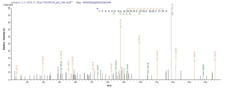 Based on the SEQUEST from database of E.coli host and target protein, the LC-MS/MS Analysis result of this product could indicate that this peptide derived from E.coli-expressed Homo sapiens (Human) MMP1.