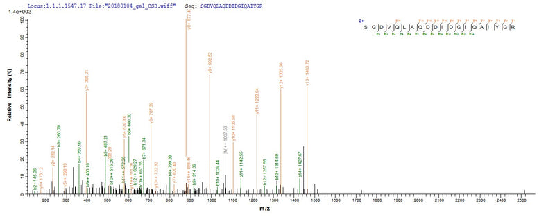 Based on the SEQUEST from database of E.coli host and target protein, the LC-MS/MS Analysis result of this product could indicate that this peptide derived from E.coli-expressed Homo sapiens (Human) MMP1.Recombinant Human Interstitial Collagenase (MMP1) Protein (His)