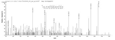 Based on the SEQUEST from database of E.coli host and target protein, the LC-MS/MS Analysis result of this product could indicate that this peptide derived from E.coli-expressed Homo sapiens (Human) TIMP4.Recombinant Human Metalloproteinase Inhibitor 4 (TIMP4) Protein (His)