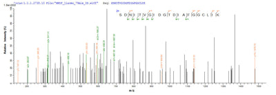 Based on the SEQUEST from database of E.coli host and target protein, the LC-MS/MS Analysis result of this product could indicate that this peptide derived from E.coli-expressed Acinetobacter baumannii ndm-1.Recombinant Acinetobacter Baumannii Beta-Lactamase (NDM-1) Protein (His-SUMO)