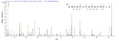 Based on the SEQUEST from database of E.coli host and target protein, the LC-MS/MS Analysis result of this product could indicate that this peptide derived from E.coli-expressed Acinetobacter baumannii ndm-1.Recombinant Acinetobacter Baumannii Beta-Lactamase (NDM-1) Protein (His-SUMO)
