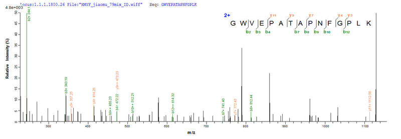 Based on the SEQUEST from database of E.coli host and target protein, the LC-MS/MS Analysis result of this product could indicate that this peptide derived from E.coli-expressed Acinetobacter baumannii ndm-1.Recombinant Acinetobacter Baumannii Beta-Lactamase (NDM-1) Protein (His-SUMO)