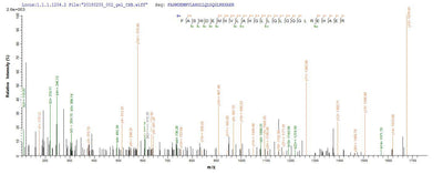 Based on the SEQUEST from database of E.coli host and target protein, the LC-MS/MS Analysis result of this product could indicate that this peptide derived from E.coli-expressed Homo sapiens (Human) ANGPTL4.Recombinant Human Angiopoietin-Related Protein 4 (ANGPTL4) Protein (GST)