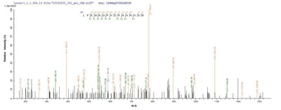 Based on the SEQUEST from database of E.coli host and target protein, the LC-MS/MS Analysis result of this product could indicate that this peptide derived from E.coli-expressed Homo sapiens (Human) ANGPTL4.Recombinant Human Angiopoietin-Related Protein 4 (ANGPTL4) Protein (GST)
