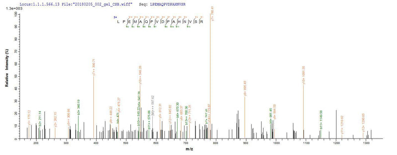 Based on the SEQUEST from database of E.coli host and target protein, the LC-MS/MS Analysis result of this product could indicate that this peptide derived from E.coli-expressed Homo sapiens (Human) ANGPTL4.Recombinant Human Angiopoietin-Related Protein 4 (ANGPTL4) Protein (GST)