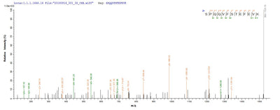 Based on the SEQUEST from database of E.coli host and target protein, the LC-MS/MS Analysis result of this product could indicate that this peptide derived from E.coli-expressed Homo sapiens (Human) C3.Recombinant Human Complement C3 (C3) Protein (His)