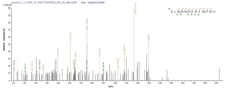 Based on the SEQUEST from database of E.coli host and target protein, the LC-MS/MS Analysis result of this product could indicate that this peptide derived from E.coli-expressed Homo sapiens (Human) C3.Recombinant Human Complement C3 (C3) Protein (His)