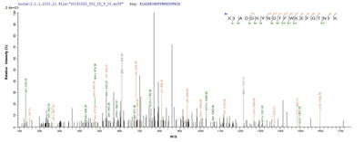 Based on the SEQUEST from database of E.coli host and target protein, the LC-MS/MS Analysis result of this product could indicate that this peptide derived from E.coli-expressed Homo sapiens (Human) HSP90B1.Recombinant Human Endoplasmin (HSP90B1) Protein (His)