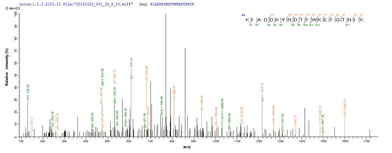 Based on the SEQUEST from database of E.coli host and target protein, the LC-MS/MS Analysis result of this product could indicate that this peptide derived from E.coli-expressed Homo sapiens (Human) HSP90B1.Recombinant Human Endoplasmin (HSP90B1) Protein (His)