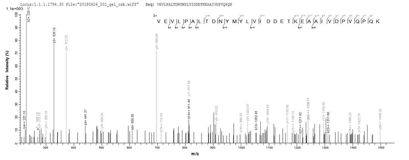 Based on the SEQUEST from database of E.coli host and target protein, the LC-MS/MS Analysis result of this product could indicate that this peptide derived from E.coli-expressed Homo sapiens (Human) HAGH.Recombinant Human Hydroxyacylglutathione Hydrolase, Mitochondrial (HAGH) Protein (GST)