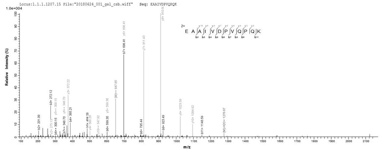 Based on the SEQUEST from database of E.coli host and target protein, the LC-MS/MS Analysis result of this product could indicate that this peptide derived from E.coli-expressed Homo sapiens (Human) HAGH.Recombinant Human Hydroxyacylglutathione Hydrolase, Mitochondrial (HAGH) Protein (GST)