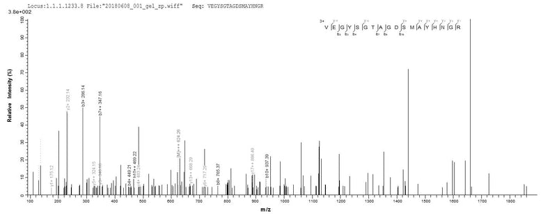 Based on the SEQUEST from database of E.coli host and target protein, the LC-MS/MS Analysis result of this product could indicate that this peptide derived from E.coli-expressed Homo sapiens (Human) TNC.Recombinant Human Tenascin (TNC) Protein (His)