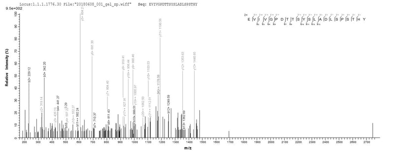 Based on the SEQUEST from database of E.coli host and target protein, the LC-MS/MS Analysis result of this product could indicate that this peptide derived from E.coli-expressed Homo sapiens (Human) TNC.Recombinant Human Tenascin (TNC) Protein (His)