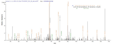 Based on the SEQUEST from database of E.coli host and target protein, the LC-MS/MS Analysis result of this product could indicate that this peptide derived from E.coli-expressed Homo sapiens (Human) FOLH1.Recombinant Human Glutamate Carboxypeptidase 2 (FOLH1) Protein (His)