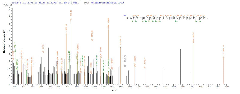 Based on the SEQUEST from database of E.coli host and target protein, the LC-MS/MS Analysis result of this product could indicate that this peptide derived from E.coli-expressed Homo sapiens (Human) FOLH1.Recombinant Human Glutamate Carboxypeptidase 2 (FOLH1) Protein (His)