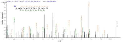 Based on the SEQUEST from database of E.coli host and target protein, the LC-MS/MS Analysis result of this product could indicate that this peptide derived from E.coli-expressed Homo sapiens (Human) ABCB1.Recombinant Human Atp-Dependent Translocase Abcb1 (ABCB1) Protein (His)