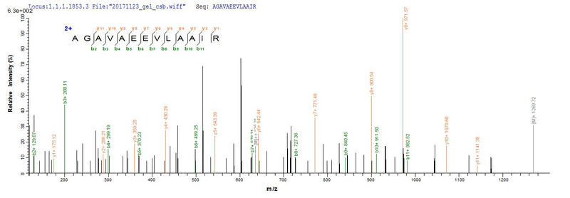 Based on the SEQUEST from database of E.coli host and target protein, the LC-MS/MS Analysis result of this product could indicate that this peptide derived from E.coli-expressed Homo sapiens (Human) ABCB1.Recombinant Human Atp-Dependent Translocase Abcb1 (ABCB1) Protein (His)