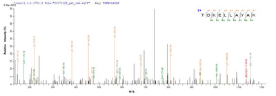 Based on the SEQUEST from database of E.coli host and target protein, the LC-MS/MS Analysis result of this product could indicate that this peptide derived from E.coli-expressed Homo sapiens (Human) ABCB1.Recombinant Human Atp-Dependent Translocase Abcb1 (ABCB1) Protein (His)