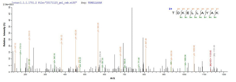Based on the SEQUEST from database of E.coli host and target protein, the LC-MS/MS Analysis result of this product could indicate that this peptide derived from E.coli-expressed Homo sapiens (Human) ABCB1.Recombinant Human Atp-Dependent Translocase Abcb1 (ABCB1) Protein (His)