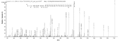 Based on the SEQUEST from database of E.coli host and target protein, the LC-MS/MS Analysis result of this product could indicate that this peptide derived from E.coli-expressed Homo sapiens (Human) SPA17.Recombinant Human Sperm Surface Protein Sp17 (SPA17) Protein (GST)