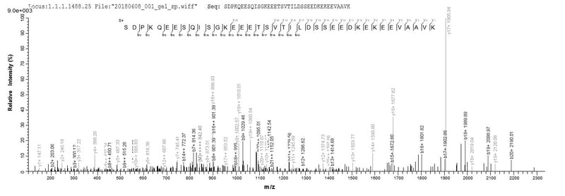 Based on the SEQUEST from database of E.coli host and target protein, the LC-MS/MS Analysis result of this product could indicate that this peptide derived from E.coli-expressed Homo sapiens (Human) SPA17.Recombinant Human Sperm Surface Protein Sp17 (SPA17) Protein (GST)