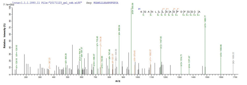 Based on the SEQUEST from database of E.coli host and target protein, the LC-MS/MS Analysis result of this product could indicate that this peptide derived from E.coli-expressed Homo sapiens (Human) CANT1.Recombinant Human Soluble Calcium-Activated Nucleotidase 1 (CANT1) Protein (GST)