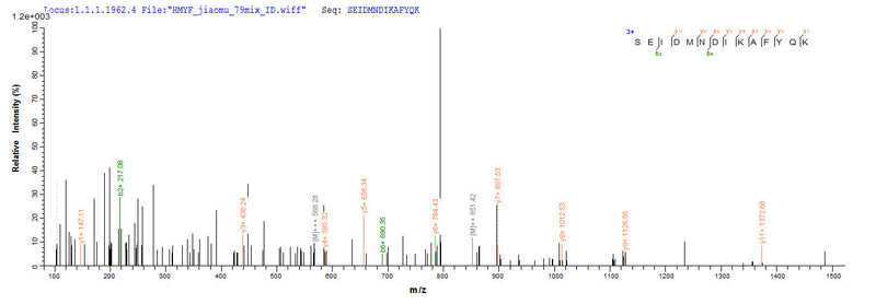 Based on the SEQUEST from database of E.coli host and target protein, the LC-MS/MS Analysis result of this product could indicate that this peptide derived from E.coli-expressed Homo sapiens (Human) ANX1.Recombinant Human Annexin A1 (ANXA1) Protein (His)