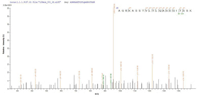 Based on the SEQUEST from database of E.coli host and target protein, the LC-MS/MS Analysis result of this product could indicate that this peptide derived from E.coli-expressed Helicobacter pylori (strain ATCC 700392 / 26695) (Campylobacter pylori) vacA.Recombinant Helicobacter Pylori Vacuolating Cytotoxin Autotransporter (VACA) Protein (His)