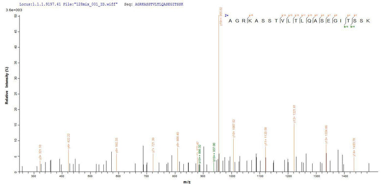 Based on the SEQUEST from database of E.coli host and target protein, the LC-MS/MS Analysis result of this product could indicate that this peptide derived from E.coli-expressed Helicobacter pylori (strain ATCC 700392 / 26695) (Campylobacter pylori) vacA.Recombinant Helicobacter Pylori Vacuolating Cytotoxin Autotransporter (VACA) Protein (His)