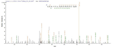 Based on the SEQUEST from database of E.coli host and target protein, the LC-MS/MS Analysis result of this product could indicate that this peptide derived from E.coli-expressed Escherichia coli (strain K12) metC.Recombinant E.Coli Cystathionine Beta-Lyase Metc (METC) Protein (His)