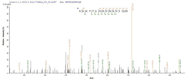 Based on the SEQUEST from database of E.coli host and target protein, the LC-MS/MS Analysis result of this product could indicate that this peptide derived from E.coli-expressed Escherichia coli (strain K12) metC.Recombinant E.Coli Cystathionine Beta-Lyase Metc (METC) Protein (His)