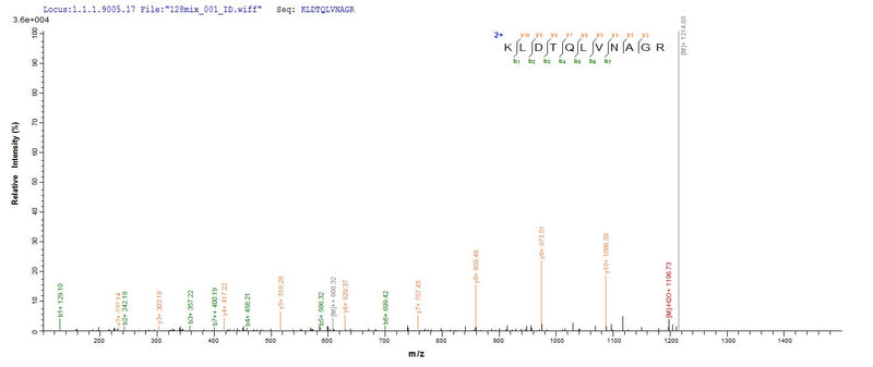 Based on the SEQUEST from database of E.coli host and target protein, the LC-MS/MS Analysis result of this product could indicate that this peptide derived from E.coli-expressed Escherichia coli (strain K12) metC.Recombinant E.Coli Cystathionine Beta-Lyase Metc (METC) Protein (His)