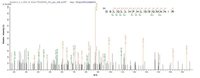 Based on the SEQUEST from database of E.coli host and target protein, the LC-MS/MS Analysis result of this product could indicate that this peptide derived from E.coli-expressed Escherichia coli (strain K12) speA.Recombinant E.Coli Biosynthetic Arginine Decarboxylase (SPEA) Protein (His)