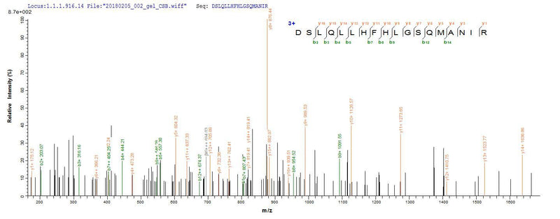 Based on the SEQUEST from database of E.coli host and target protein, the LC-MS/MS Analysis result of this product could indicate that this peptide derived from E.coli-expressed Escherichia coli (strain K12) speA.Recombinant E.Coli Biosynthetic Arginine Decarboxylase (SPEA) Protein (His)