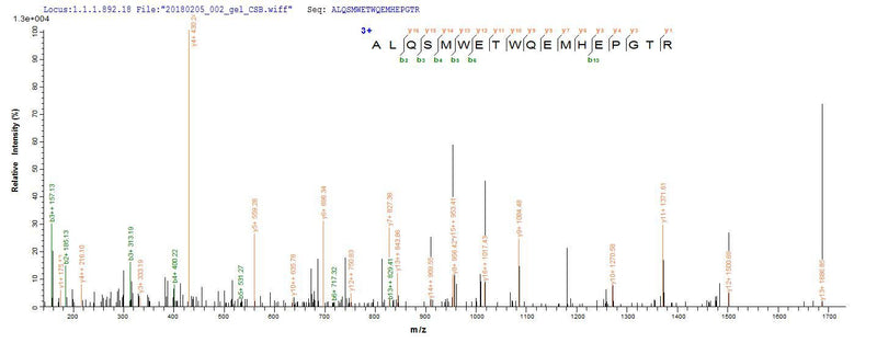 Based on the SEQUEST from database of E.coli host and target protein, the LC-MS/MS Analysis result of this product could indicate that this peptide derived from E.coli-expressed Escherichia coli (strain K12) speA.Recombinant E.Coli Biosynthetic Arginine Decarboxylase (SPEA) Protein (His)