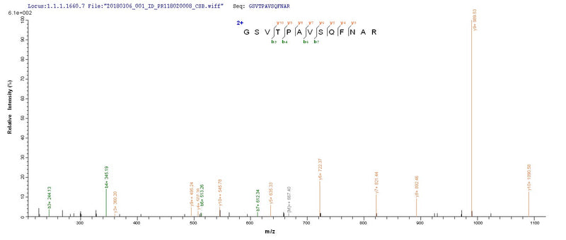 Based on the SEQUEST from database of E.coli host and target protein, the LC-MS/MS Analysis result of this product could indicate that this peptide derived from E.coli-expressed Mycobacterium tuberculosis mpt63.Recombinant Mycobacterium Tuberculosis Immunogenic Protein Mpt63 (MPT63) Protein (His)