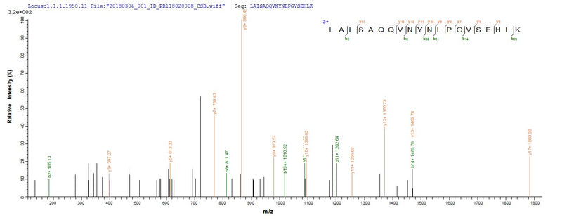 Based on the SEQUEST from database of E.coli host and target protein, the LC-MS/MS Analysis result of this product could indicate that this peptide derived from E.coli-expressed Homo sapiens (Human) pstS1.Recombinant Mycobacterium Tuberculosis Phosphate-Binding Protein Psts 1 (PSTS1) Protein (His)
