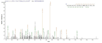 Based on the SEQUEST from database of E.coli host and target protein, the LC-MS/MS Analysis result of this product could indicate that this peptide derived from E.coli-expressed Homo sapiens (Human) TTN.Recombinant Human Titin (TTN) Protein (His)