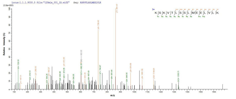 Based on the SEQUEST from database of E.coli host and target protein, the LC-MS/MS Analysis result of this product could indicate that this peptide derived from E.coli-expressed Homo sapiens (Human) TTN.Recombinant Human Titin (TTN) Protein (His)