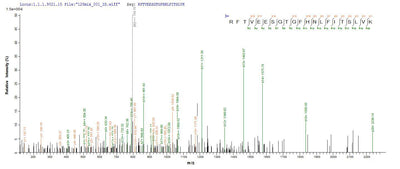 Based on the SEQUEST from database of E.coli host and target protein, the LC-MS/MS Analysis result of this product could indicate that this peptide derived from E.coli-expressed Homo sapiens (Human) TTN.Recombinant Human Titin (TTN) Protein (His)