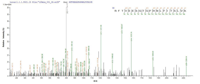 Based on the SEQUEST from database of E.coli host and target protein, the LC-MS/MS Analysis result of this product could indicate that this peptide derived from E.coli-expressed Homo sapiens (Human) TTN.Recombinant Human Titin (TTN) Protein (His)