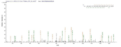 Based on the SEQUEST from database of E.coli host and target protein, the LC-MS/MS Analysis result of this product could indicate that this peptide derived from E.coli-expressed Homo sapiens (Human) HLA-B.Recombinant Human Hla-B Protein (HLA-B) Protein (His)