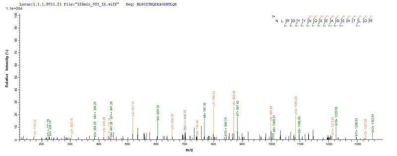 Based on the SEQUEST from database of E.coli host and target protein, the LC-MS/MS Analysis result of this product could indicate that this peptide derived from E.coli-expressed Homo sapiens (Human) HLA-B.Recombinant Human Hla-B Protein (HLA-B) Protein (His)