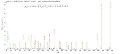 Based on the SEQUEST from database of E.coli host and target protein, the LC-MS/MS Analysis result of this product could indicate that this peptide derived from E.coli-expressed Homo sapiens (Human) HLA-B.Recombinant Human Hla-B Protein (HLA-B) Protein (His)